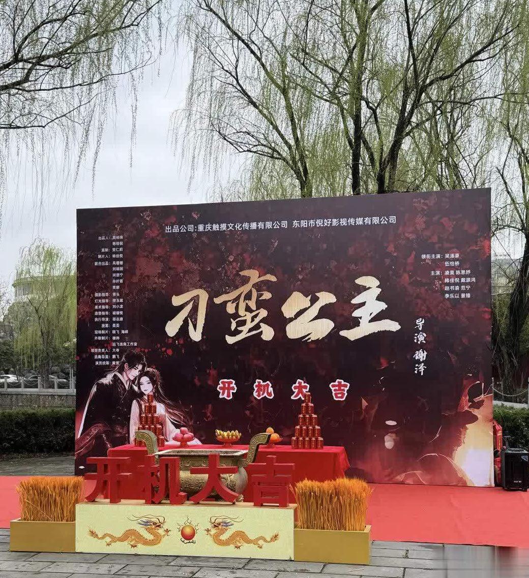 国外怎么看优酷教程